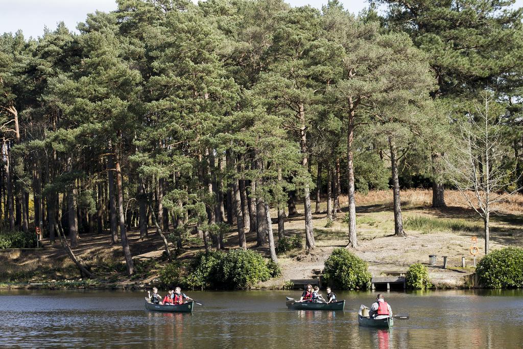 فيلا Avon Tyrrell Outdoor Activity Centre Bransgore المظهر الخارجي الصورة